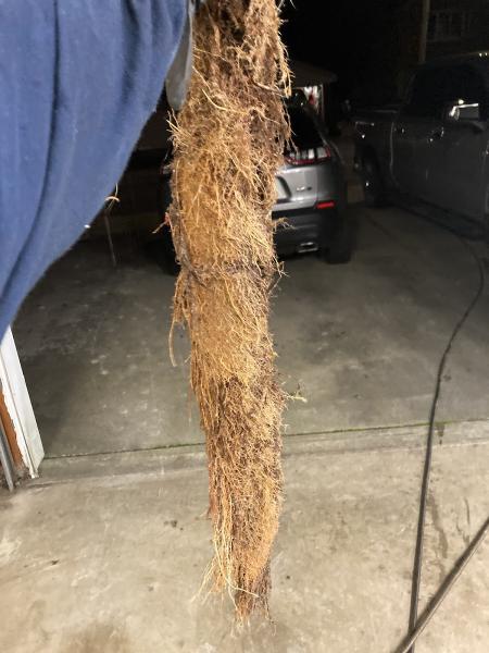 J Rooter Sewer and Drain Cleaning