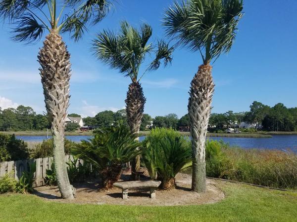 Brandows Lawn & Landscape