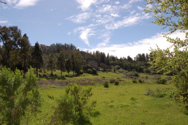 Country Properties & Estates