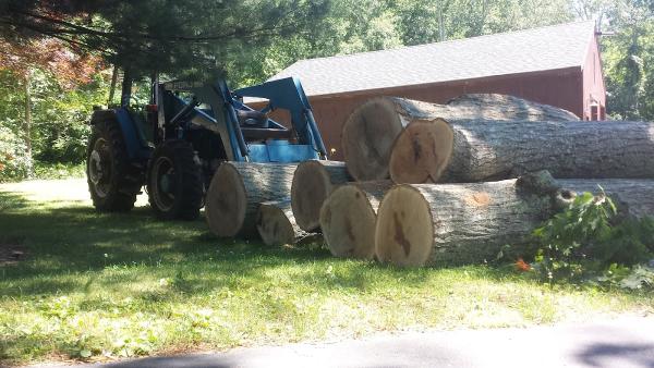 American Tree Service