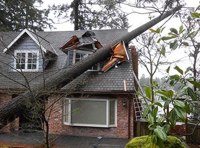 Tyson's Tree Service