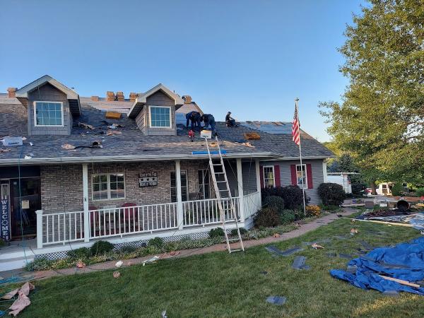 Roof Drs
