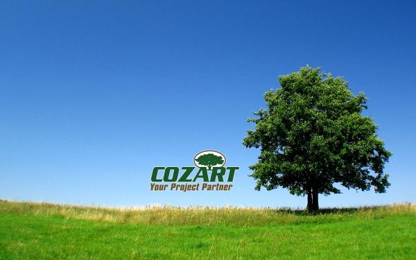 Cozart Lumber