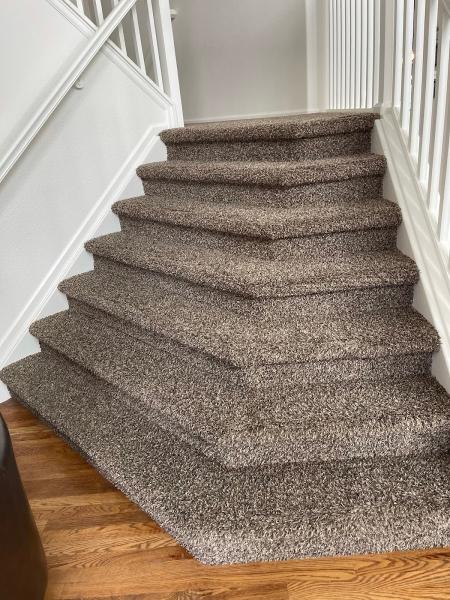 Steam Carpet Cleaning