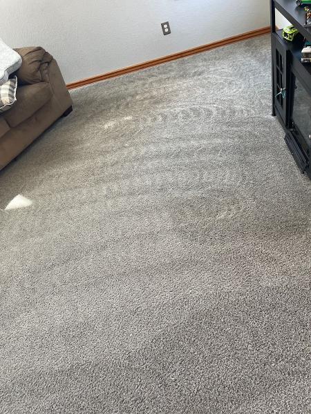 Steam Carpet Cleaning