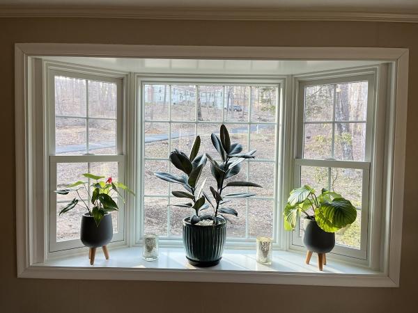 Renewal by Andersen Window Replacement