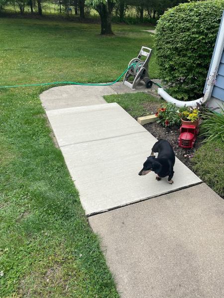 Fiori Concrete