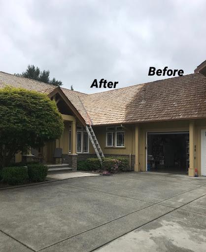 Experienced Roof & Gutter Cleaning