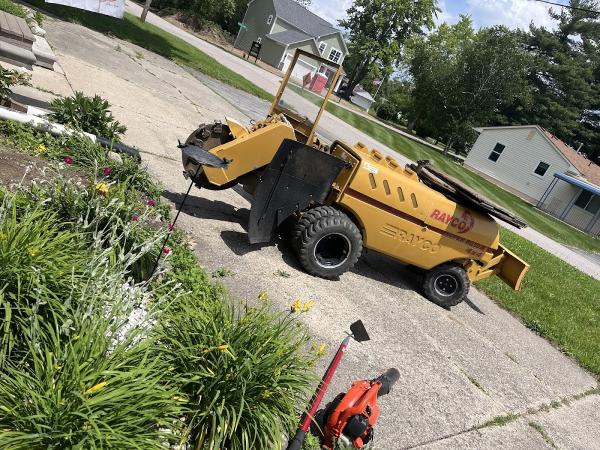 Novak Stump Grinding