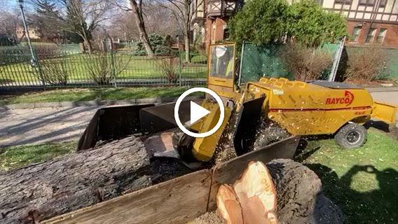 Novak Stump Grinding