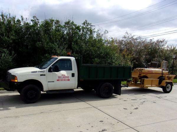 Novak Stump Grinding