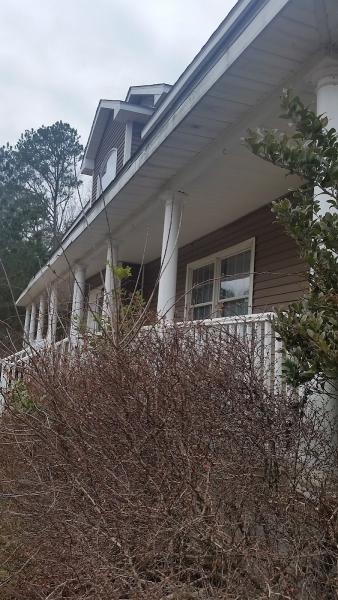 Clark Tree Expert Company