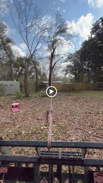 Knight's Tree Service LLC