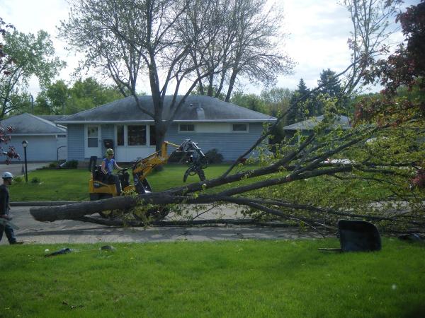 Minnesota Tree Surgeons LLC