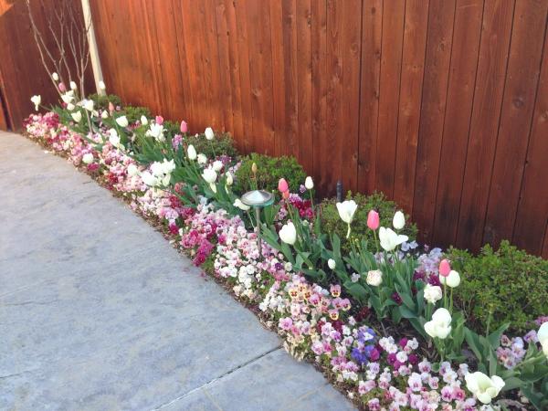 Complete Lawn Care