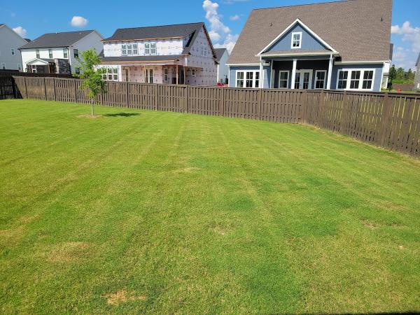 Let Us Give You A Hand Landscaping