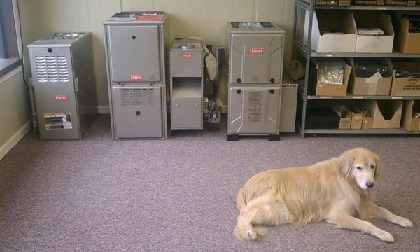 D&G Heating and Cooling