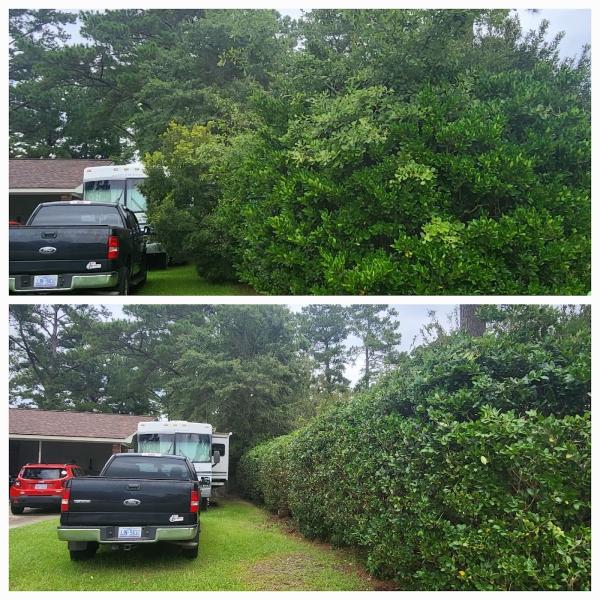 Heroy's Lawn Services