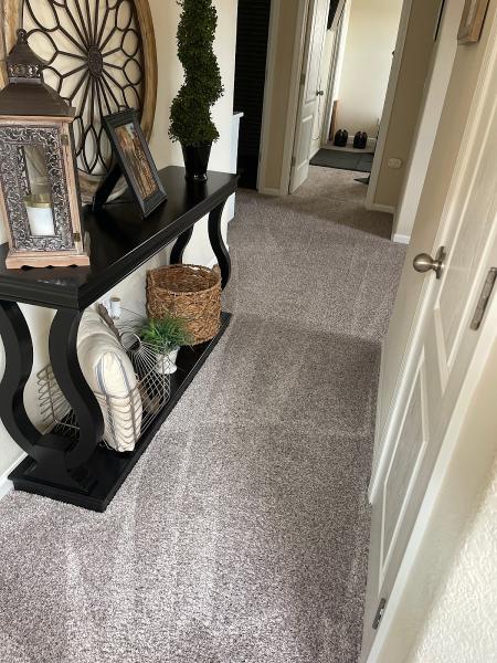 Spiker Carpet and Tile Care