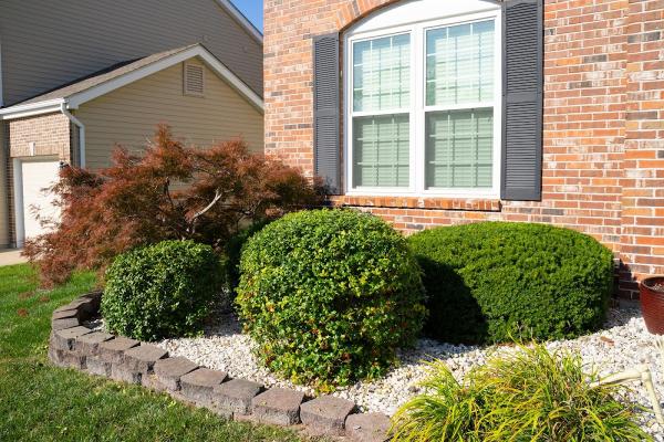Top Notch Lawn Maintenance LLC