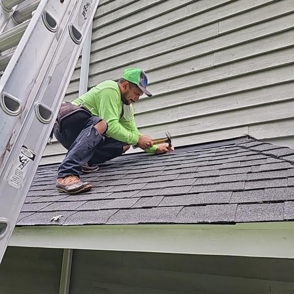 ALP Roofing