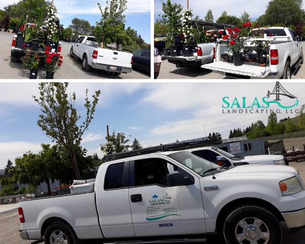 Salas Landscaping LLC