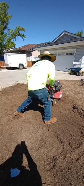 Salas Landscaping LLC