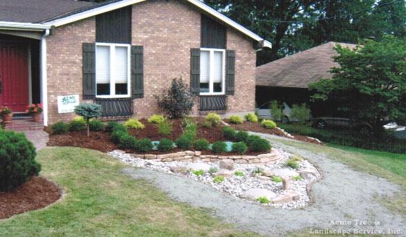 Acme Tree Services & Landscaping