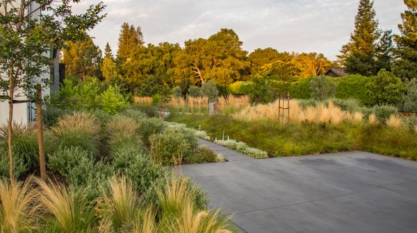Garden Designs by Marlene Deel