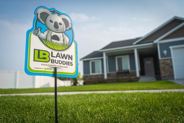 Lawn Buddies
