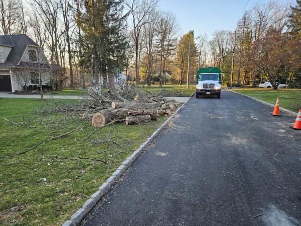 Pine Hill Tree Services LLC