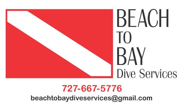 Beach to Bay Divers and Pools