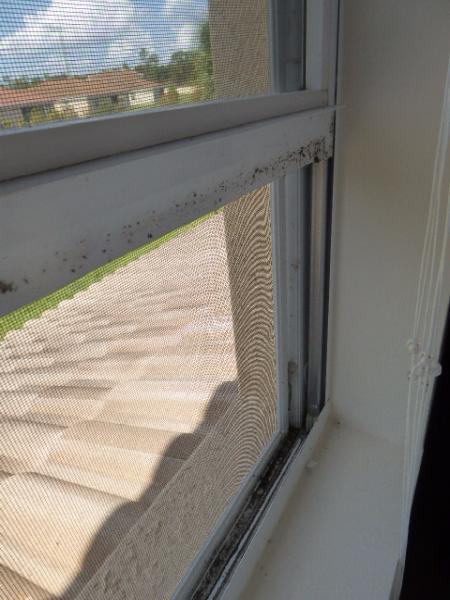 Golden Rule Home Inspections
