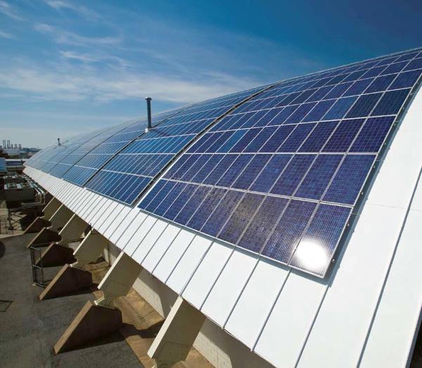 Advantage Green Solutions