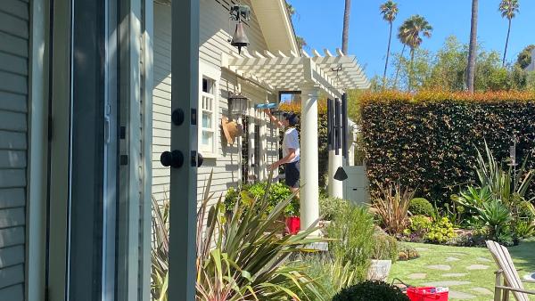 Trip's Window Services