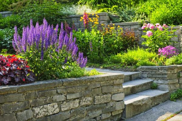 London Lawns & Landscaping
