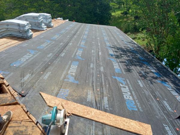 Pineapple Express Roofing