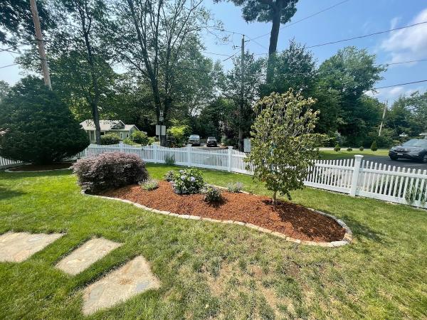 Norfolk Property Tree Service
