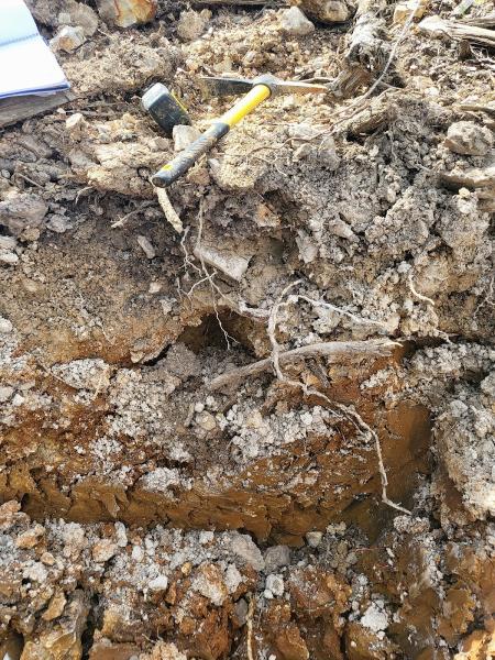 MB Soil & Septic Consulting