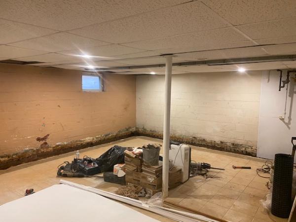 Budget Waterproofing