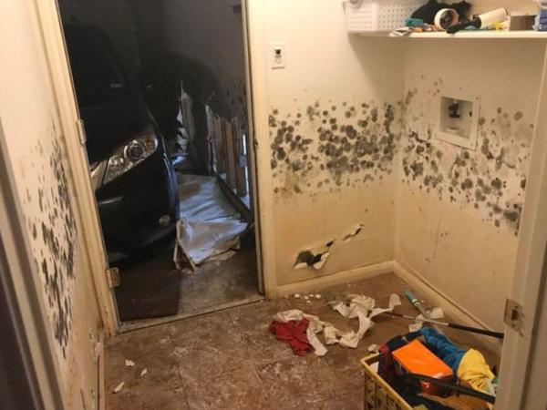 Upfront Water Damage & Mold Remediation