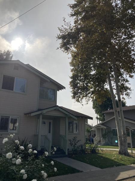 Arbor Enterprise Tree Service