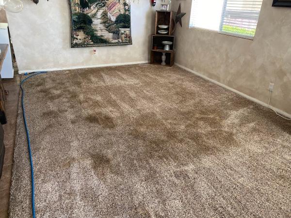 Clean Investment Carpet Cleaning