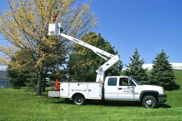 Flying W Tree Service