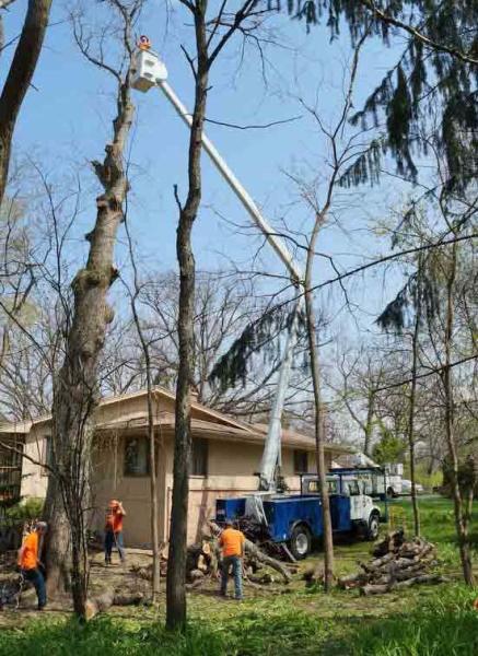 Flying W Tree Service