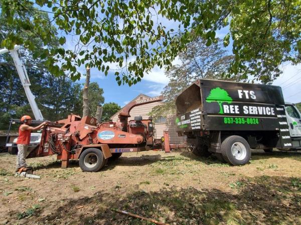 FTS Tree Service and Landscaping