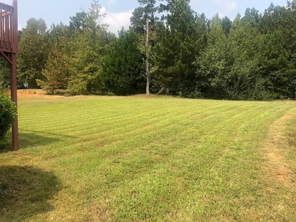 Flash Landscaping Services