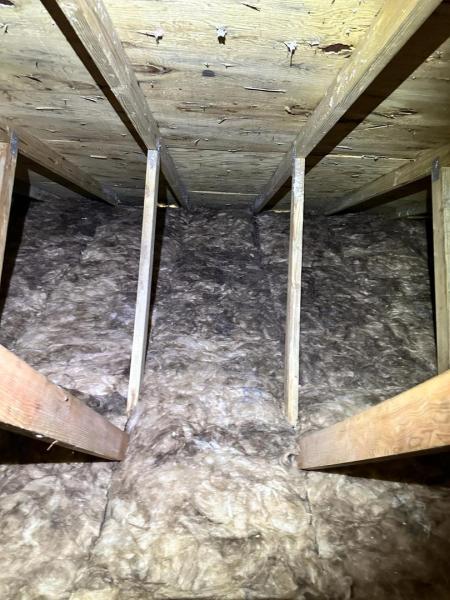 Attic Star