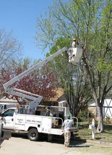 English Tree Service