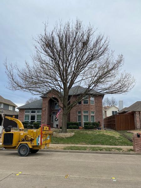 Twin Oak Solutions